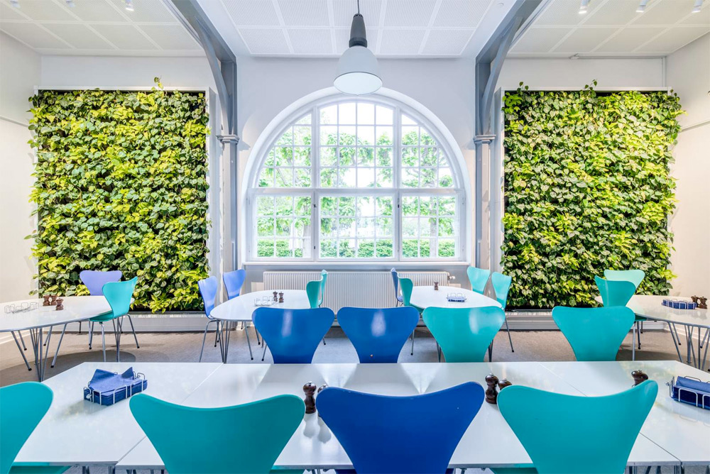 Växtvård i Sverige AB hjälper arkitekter och inredare att inreda med växtväggar och andra typer av växter i olika storlekar och former.