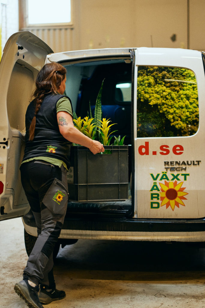 Medarbetare på Växtvård lastar en bil med växtinredning till kontor i Stockholm