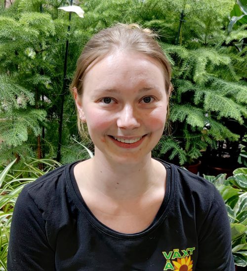 Maja Isaksson som jobbar med och är expert på växter och växtinredning